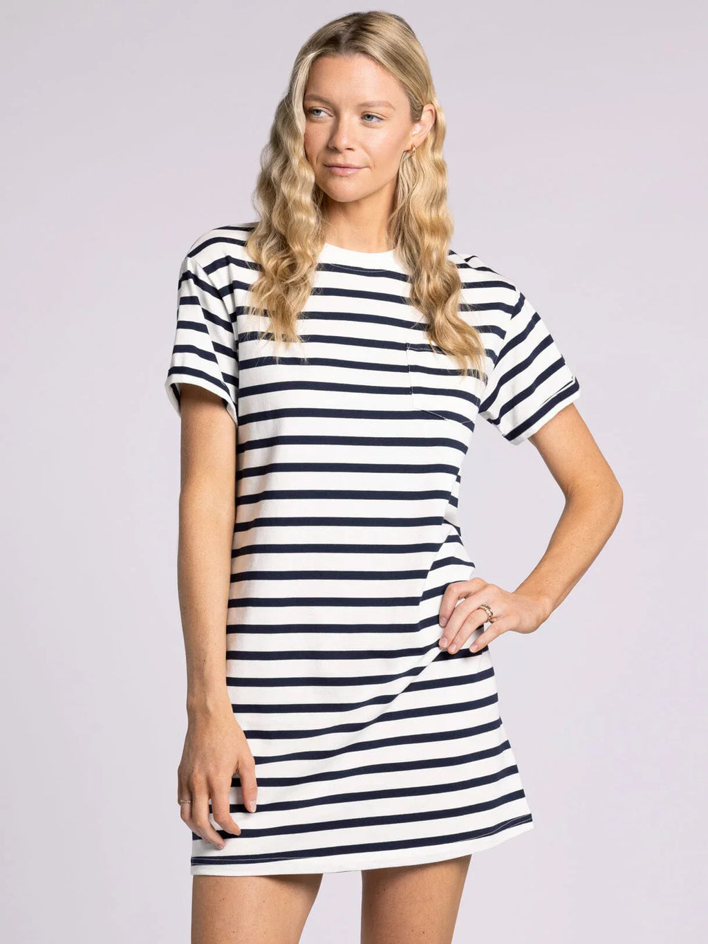 Kick Back Dress - White Navy Stripe